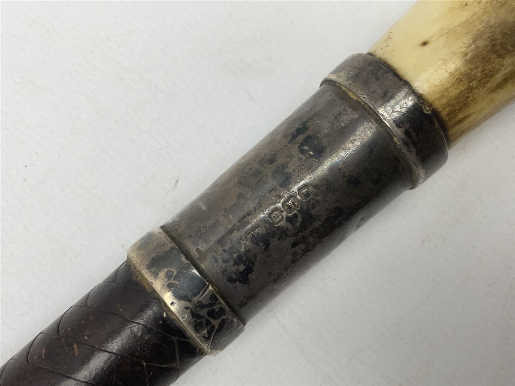 Gentleman's hunting whip, with horn handle and hallmarked silver collar, leather thong and lash, approximate L175cm