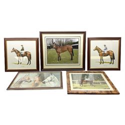 After G Keane (British 20th century): 'Mill Reef' and 'Brigadier Gerard', pair colour prints together with three further prints of Race Horses (5)