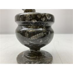 Polished stone pestle and mortar with multiple fossil specimens, including an ammonites and orthoceras, 