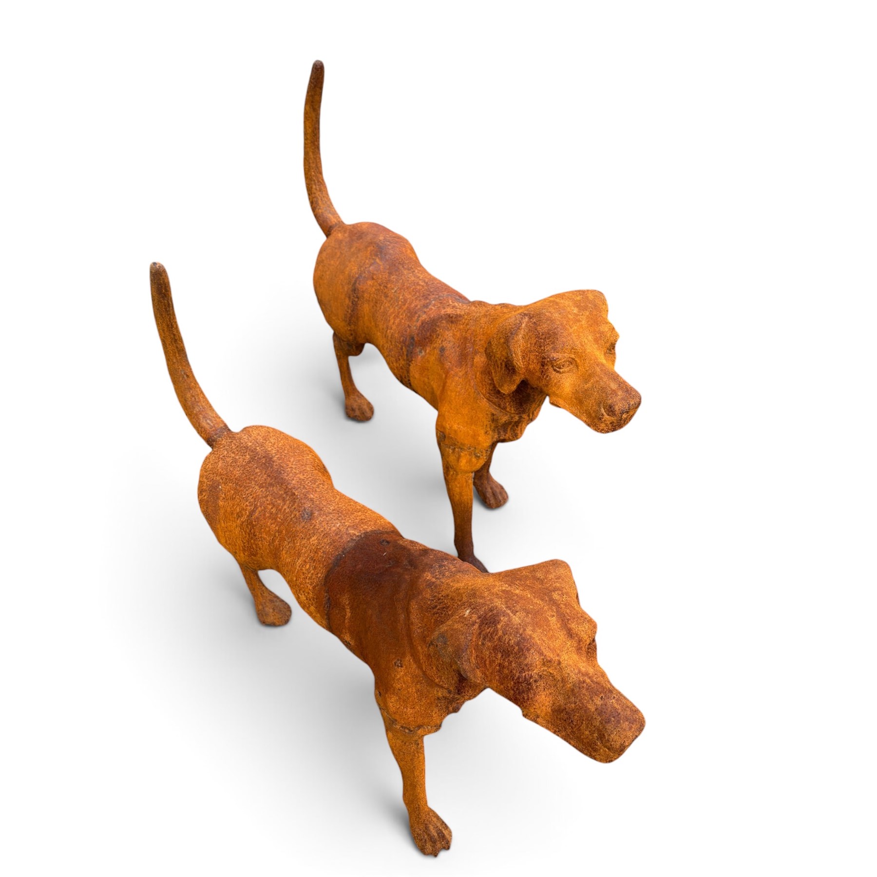 Pair of weathered cast iron garden statues in the form of standing foxhounds with outstretched tails and collars, in rusted patina