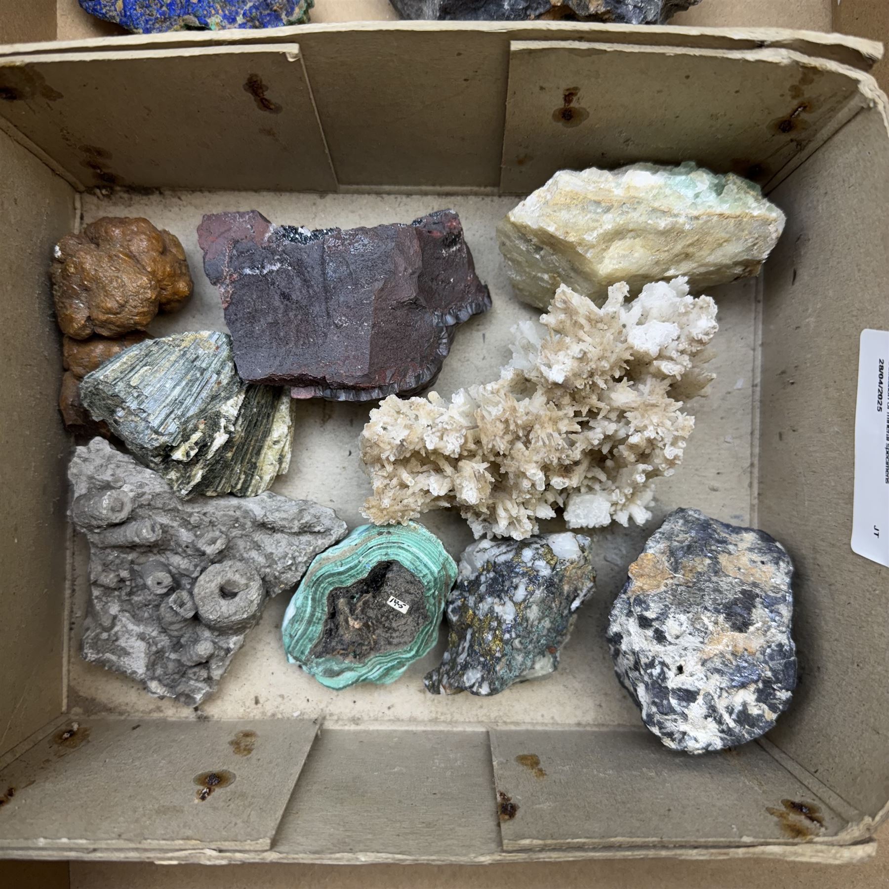 Large private collection of minerals and fossils including, Malachite, Azurite, Amethyst, agate, coprolite (fossilised excrement) etc 