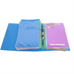 Rugby League club enamel badge collection, from teams including Bradford, Castleford, Huddersfield, Hull FC, Leeds, Leigh, St Helens, Salford, Wakefield, Wigan, York, Batley, Barrow, Bramely, Dewsbury, Featherstone, Halifax, Hunslet, Keighley, Oldham, Rochdale, Sheffield, Widnes, Workington, etc, all circa 2021, housed in two folders, (approximately 250)