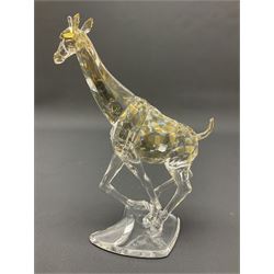 Swarovski Crsytal Society coloured animals, comprising zebra, giraffe and water buffalo, tallest H17.5cm