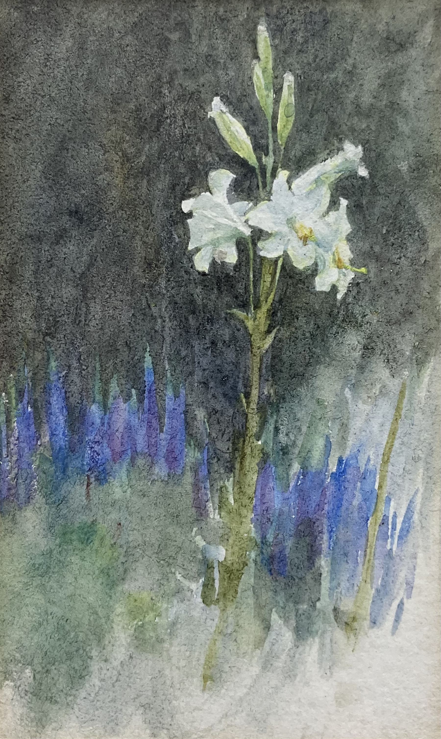 Helen Allingham RWS (British 1848-1926): Study of a Lily, watercolour unsigned, titled and attributed on gallery label verso 10cm x 6cm 
Provenance: with the Southgate Gallery, Wolverhampton, label verso