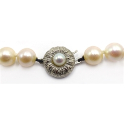 Single strand pearl necklace, with 18ct white gold clasp stamped 750 and two pairs of pearl stud ear-rings