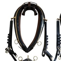 John McDonald - team set of black leather and brass harness, including four black patent leather collars (24