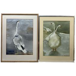 Madge Bright (British 20th century): Studies of Geese, pair gouaches signed and dated '87, 57cm x 43cm (2)