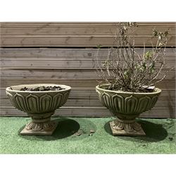 Pair of large decorated cast stone planters on plinths  - THIS LOT IS TO BE COLLECTED BY APPOINTMENT FROM DUGGLEBY STORAGE, GREAT HILL, EASTFIELD, SCARBOROUGH, YO11 3TX