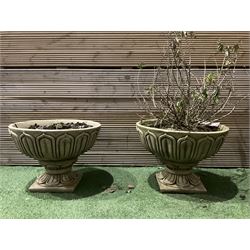  Pair of large decorated cast stone planters on plinths  - THIS LOT IS TO BE COLLECTED BY APPOINTMENT FROM DUGGLEBY STORAGE, GREAT HILL, EASTFIELD, SCARBOROUGH, YO11 3TX