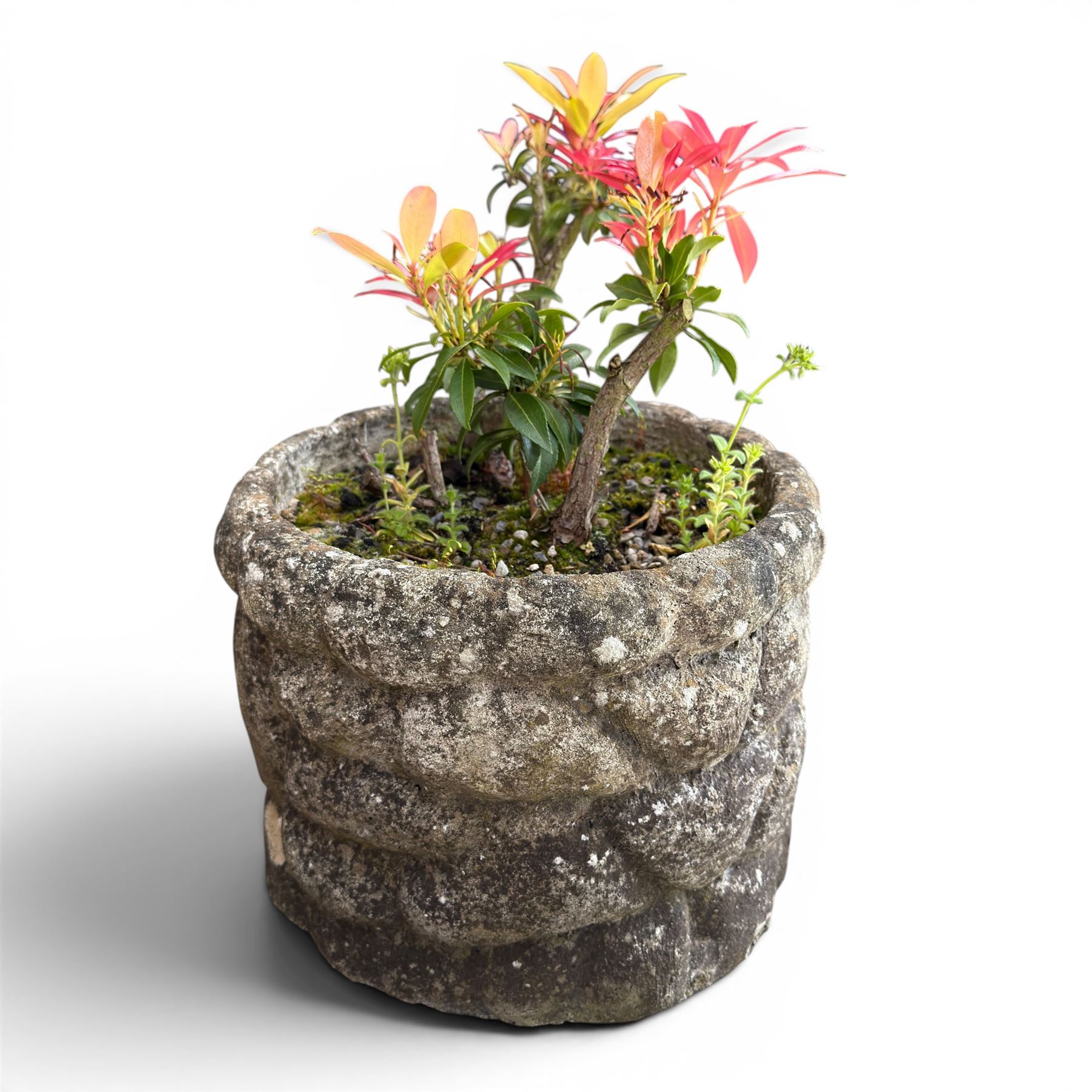 Pair of terracotta circular planters, bark design cast stone two branch bird bath, two small circular stone planters, and three composite circular planters (8)