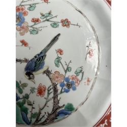 Chinese Kangxi famille verte plate, decorated with a bird perched upon a blossoming branch, within an iron red foliate border, D22cm