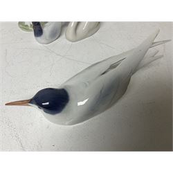 Seven Royal Copenhagen figures, including Arctic tern no 827, Swan no 755, Kingfisher no 2257 etc, together with Royal Copenhagen dish