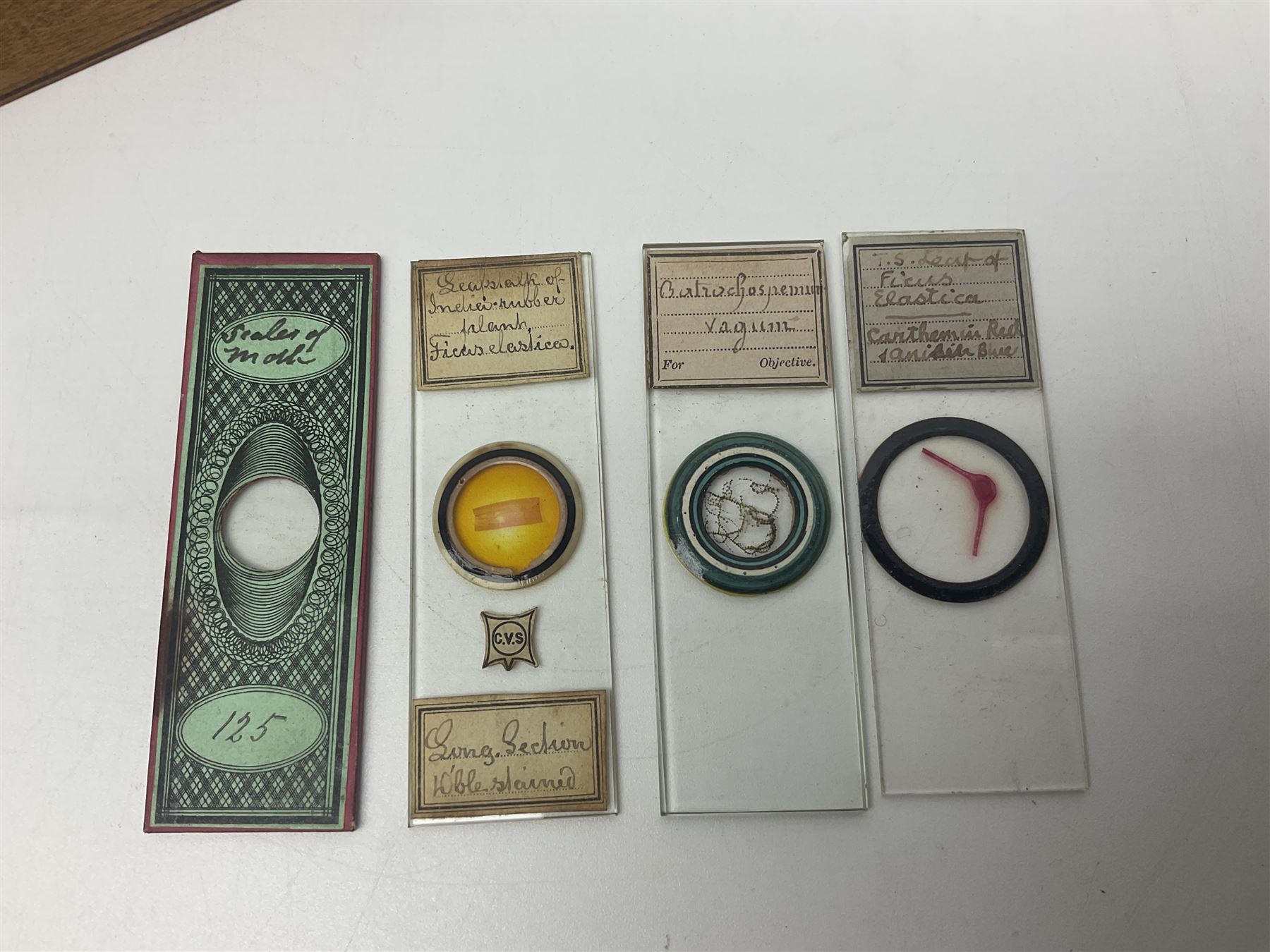 R & J Beck London microscope, model 7597, contained in fitted case, together with a boxed collection of glass microscope biological sample slides