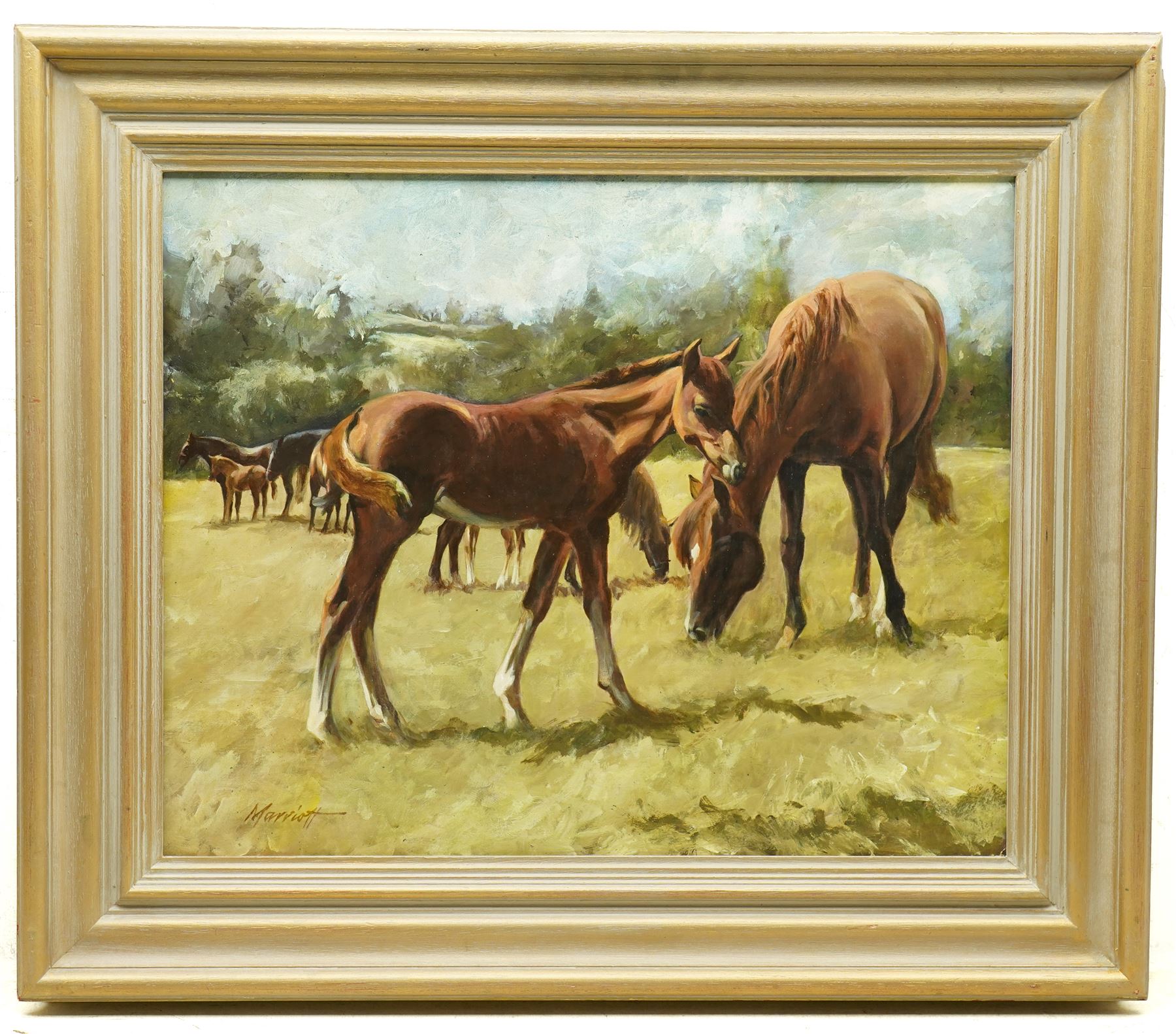 Samuel 'Sam' Marriott (British 1932-1997): Mare and Foal in Pasture, oil on board signed 40cm x 50cm