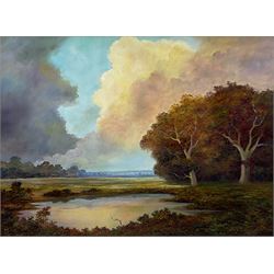 Bruce Kendall (British Contemporary): 'The Passing Storm', oil on canvas signed, titled verso 44cm x 60cm