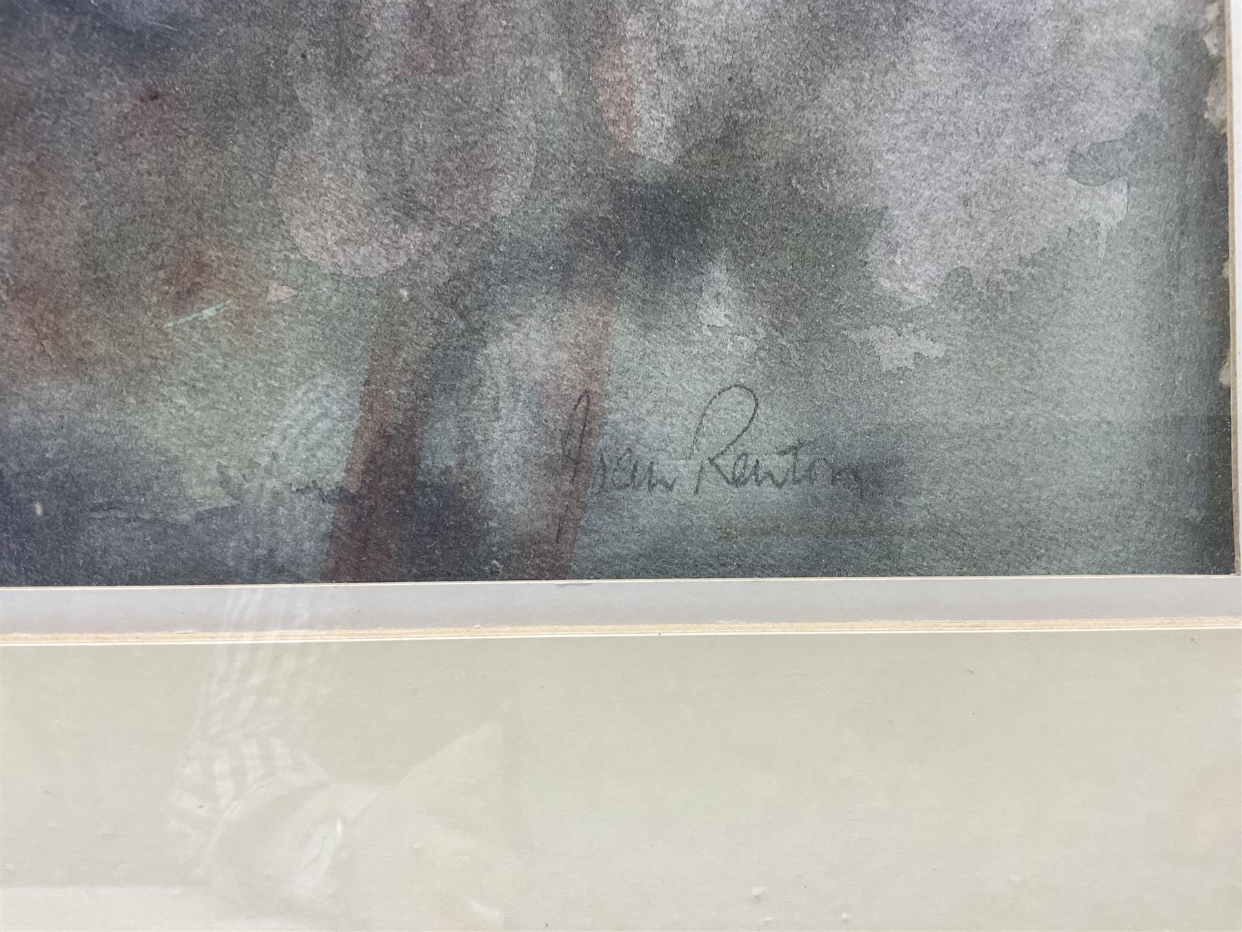 Joan Renton (Scottish 1935-): 'Hydrangea', watercolour signed, titled verso 52cm x 75cm