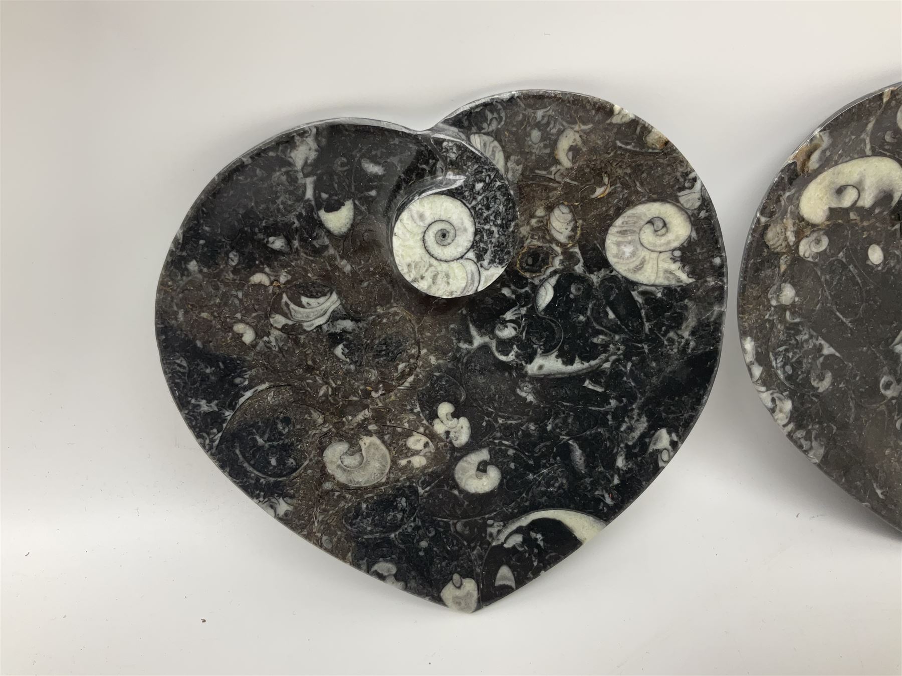 Pair of dishes in the form of hearts with a raised Goniatite to the centre and Orthoceras and Goniatite inclusions, age: Devonian period, location: Morocco, D16cm