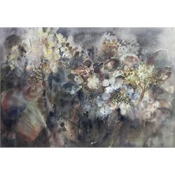 Joan Renton (Scottish 1935-): 'Hydrangea', watercolour signed, titled verso 52cm x 75cm