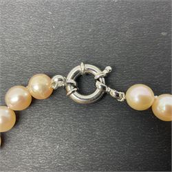 Pink fresh water pearl necklace, with silver clasp