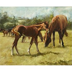 Samuel 'Sam' Marriott (British 1932-1997): Mare and Foal in Pasture, oil on board signed 40cm x 50cm