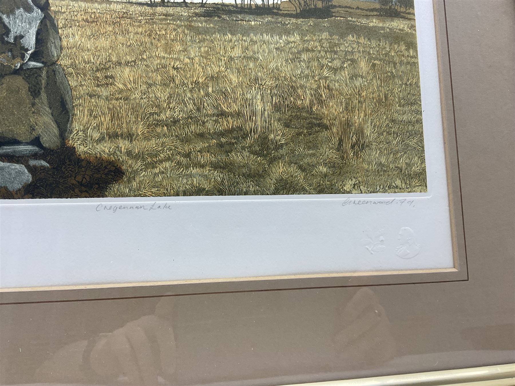 Philip Greenwood (Welsh 1943-): 'Cregennan Lake', artist's proof aquatint signed titled and numbered 5/295 in pencil 36cm x 41cm 