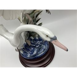 Large Lladro figure group, Swans Take Flight, modelled as two swans upon raised on circular wooden plinth, sculpted by Salvador Debon, H68cm