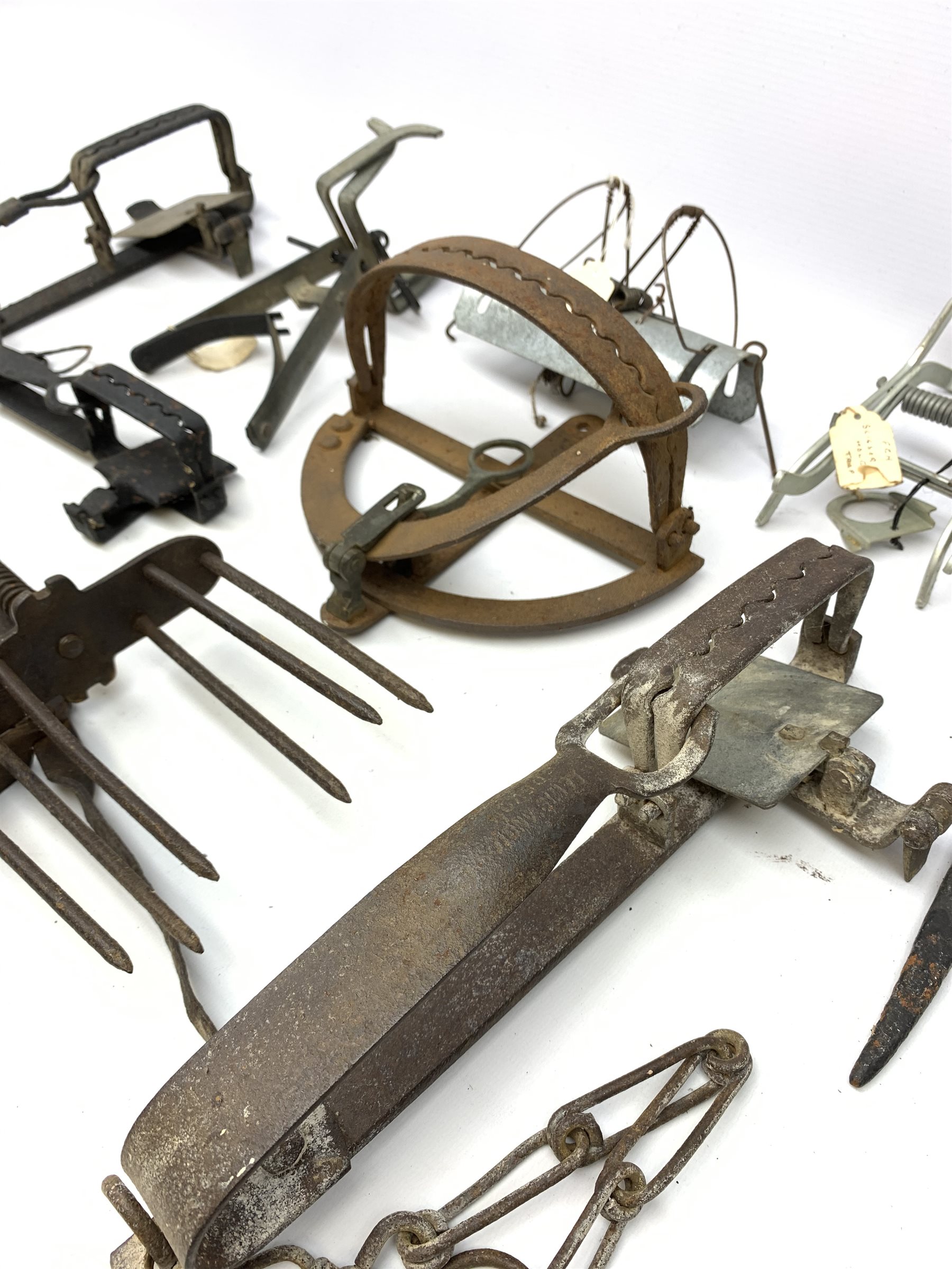 Nine animal traps including gin traps by E. Tinsley & Co, Lewis Angio Devon etc, various style mole traps by A. Fenn, Henry Lane, J. Duffus & Son etc. Auctioneer's Note: These traps are sold as artefacts for ornamental purposes only as the use of some of them is illegal.