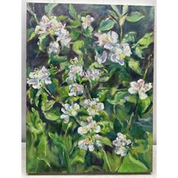 Catherine Tyler (British 1949-): 'Apple Blossom', oil on canvas signed, titled verso 61cm x 46cm (unframed)