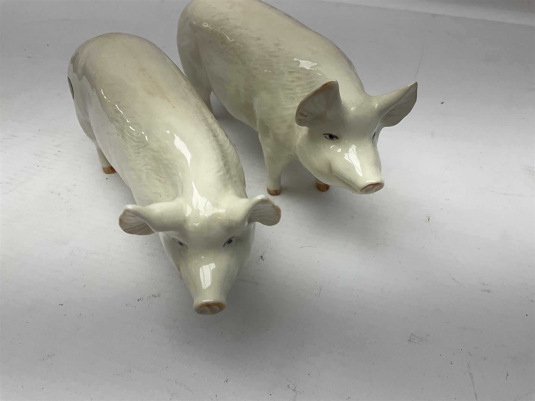 Three Beswick pigs, CH Wall CH Boy 53, 8cm high, CH Wall Queen and seated pig no 839