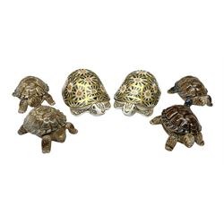 Two Royal Crown Derby Indian Star Tortoise paperweights with gold stoppers and four Wade tortoises