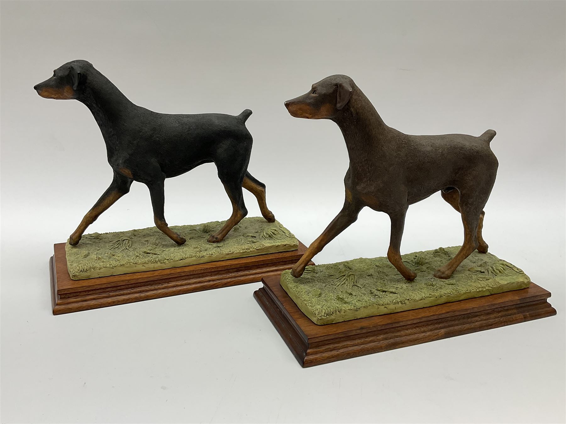 Border Fine Arts Doberman Pinscher, black with brown markings, limited edition 279 of 500 modelled by Elizabeth Waugh, with plinth H20.5cm, together with Border Fine Arts Doberman Pinscher, dark brown with light brown markings, limited edition 297 of 500 modelled by Elizabeth Waugh, with plinth H20.5cm