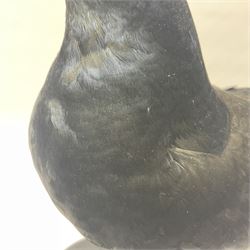 Taxidermy: Black Grouse (Lyrurus tetrix), full mount adult cockbird, open display perched upon a branch, H48cm