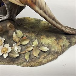 Royal Crown Derby Pheasant, signed by artist Lyndsey Selley, in original box, H38cm 