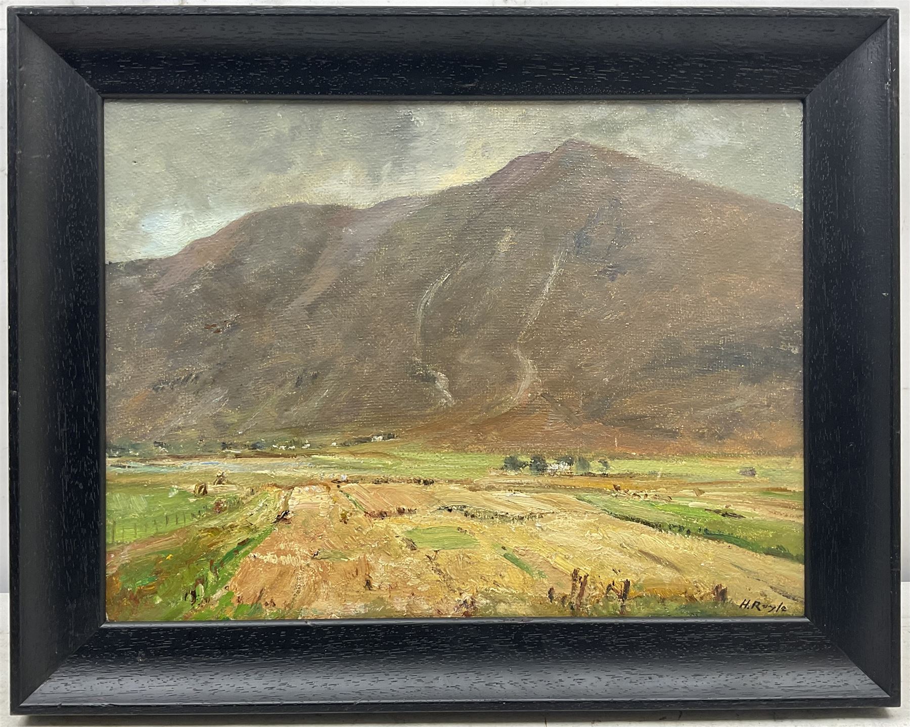 Herbert F Royle (British 1870-1958): Scottish Upland Fields, oil on board signed 30cm x 40cm