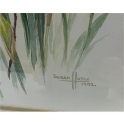 Susan Hoyle (British 20th century): Still Life of Daffodils, watercolour signed and dated 1992 together with Pamela J Thorpe (British 20th century): Still Life of Flowers in a Jug, watercolour signed and dated '94 max 46cm x 34cm (2)