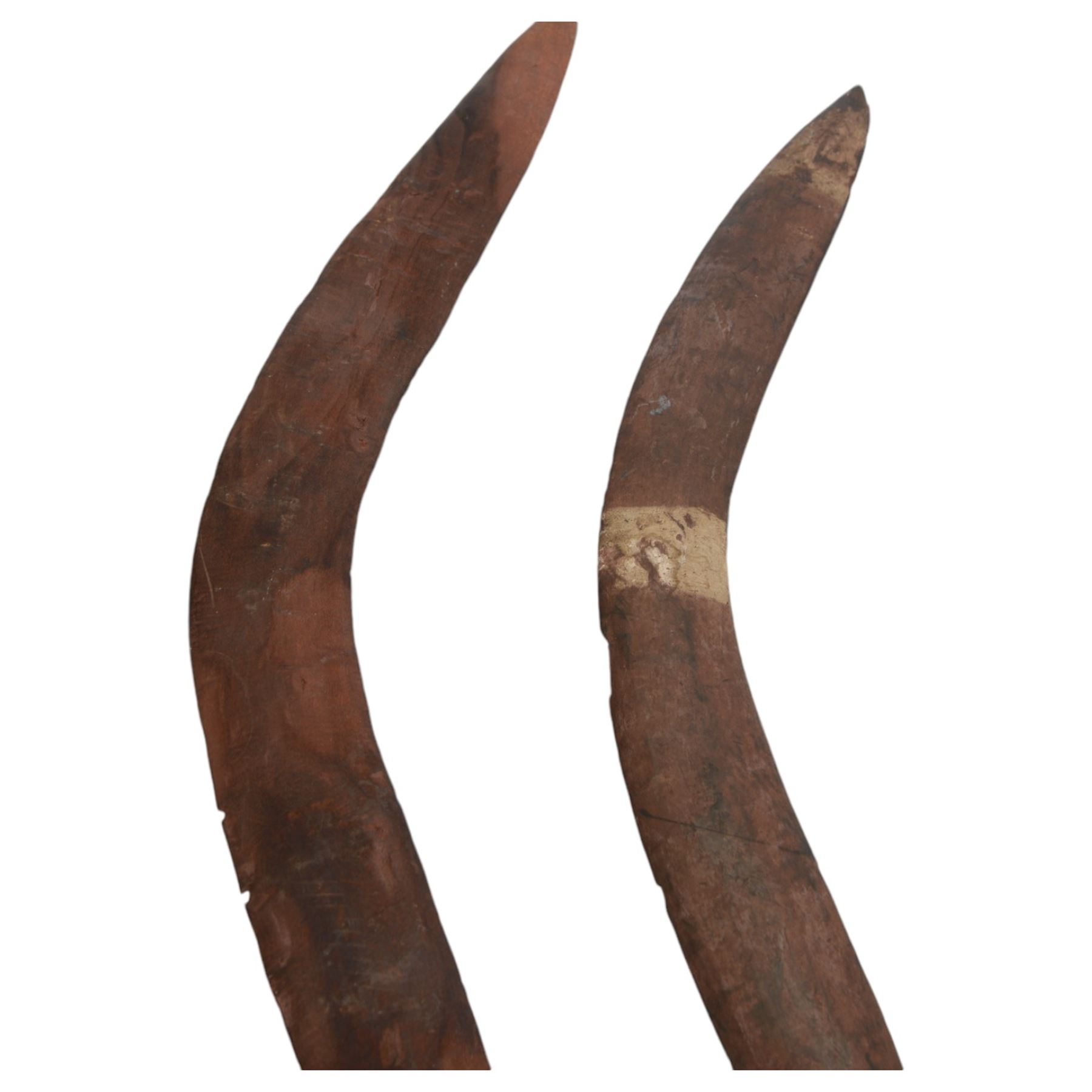 Two wooden aboriginal boomerangs, largest L60cm