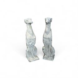 Pair of cast stone sitting greyhounds 