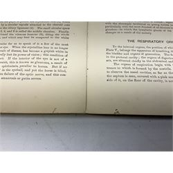 A. Schwarz, The Horse; Its External and Internal Organisation, An Illustrated Representation and Brief Description, Revised and Edited by George Fleming, London, George Philip & Son, with fold out anatomical plates