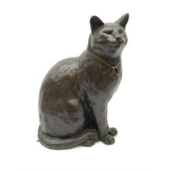 A large limited edition bronzed model of a seated cat, signed Peter Close 5/500, H37cm. 