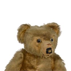 Early 20th century teddy bear, probably German, blonde mohair bear with glass eyes, straw filled snout with stitched nose, hand stitched centre seam, wood wool filled body, jointed limbs, swivel head and hump to back, H67cm