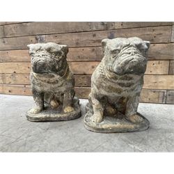 Pair of cast stone garden British bulldogs, on shaped plinths