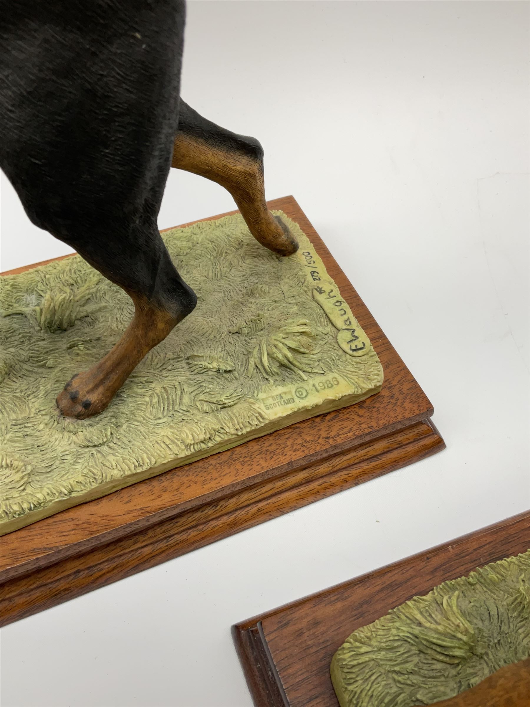 Border Fine Arts Doberman Pinscher, black with brown markings, limited edition 279 of 500 modelled by Elizabeth Waugh, with plinth H20.5cm, together with Border Fine Arts Doberman Pinscher, dark brown with light brown markings, limited edition 297 of 500 modelled by Elizabeth Waugh, with plinth H20.5cm