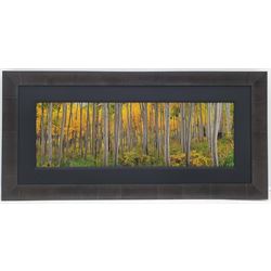 Peter Lik (Australian 1959-): 'Golden Dawn', limited edition ilfochrome photoprint signed and numbered 200/950, 49cm x 148cm