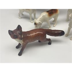 Beswick hunting group, comprising huntswoman on grey horse no 1730, huntsman on brown horse no 1501, fox figure no 1440 and eight fox hounds, all with printed marks beneath (11)