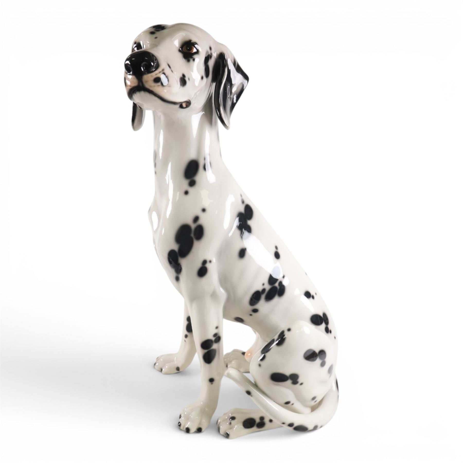 Life-sized model of a seated Dalmatian, H80cm