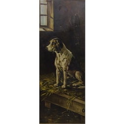  Fox Hound in a Stable, 19th century oil on canvas unsigned 90cm x 34cm  