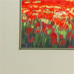 Shirley Trumble (Yorkshire 1937): 'Bluebells' and 'Sunlit Poppies II', pair of pastels signed with monogram, titled on artist's label verso max 46.5cm x 61.5cm (2)