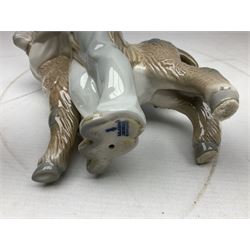 Seven Lladro figures, comprising Playful Puppy no 9135, Platero and Marcelino/Boy Hugging Donkey no 1181, Mini Seal Family no 5318, Attentive Polar Bear no 1207, Seated Polar Bear no1209, Eskimo Boy with Pet no 5238 and Girl with Geese no 1035, together with Nao goose