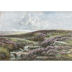 John Wynne Williams (British fl.1900-1920): Whitby Moors, watercolour signed 24cm x 35cm