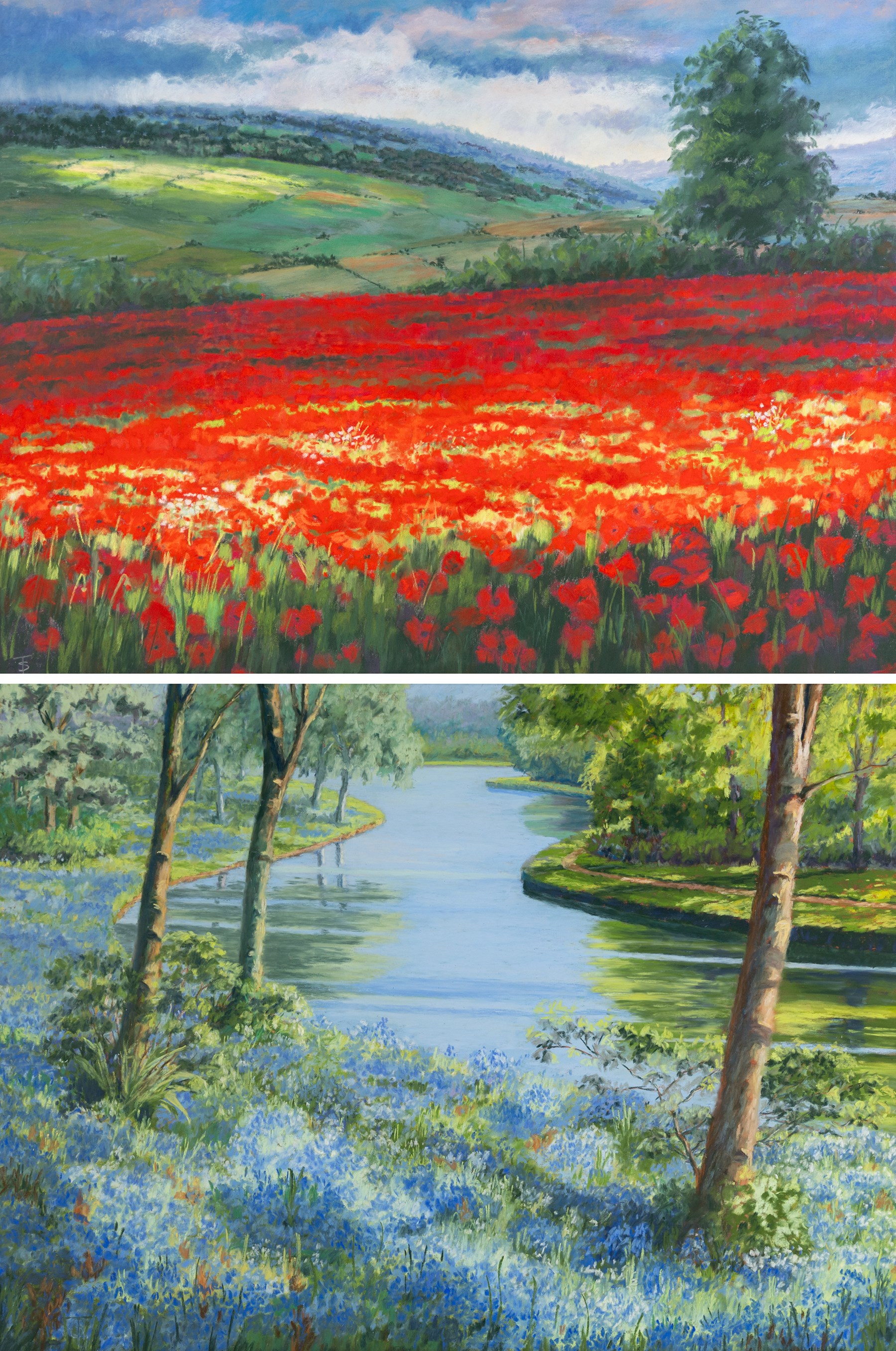 Shirley Trumble (Yorkshire 1937): 'Bluebells' and 'Sunlit Poppies II', pair of pastels signed with monogram, titled on artist's label verso max 46.5cm x 61.5cm (2)
